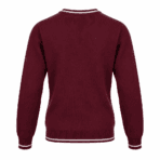Custom School V-Neck Sweater - back view - Zees Commerce