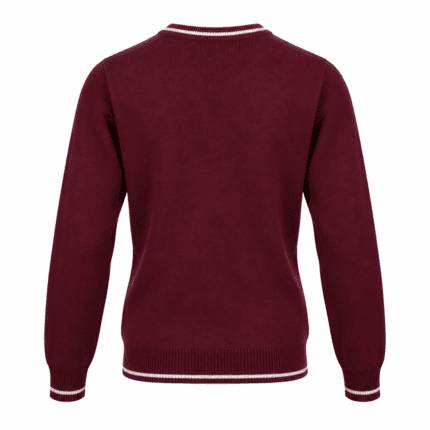 Custom School V-Neck Sweater - back view - Zees Commerce